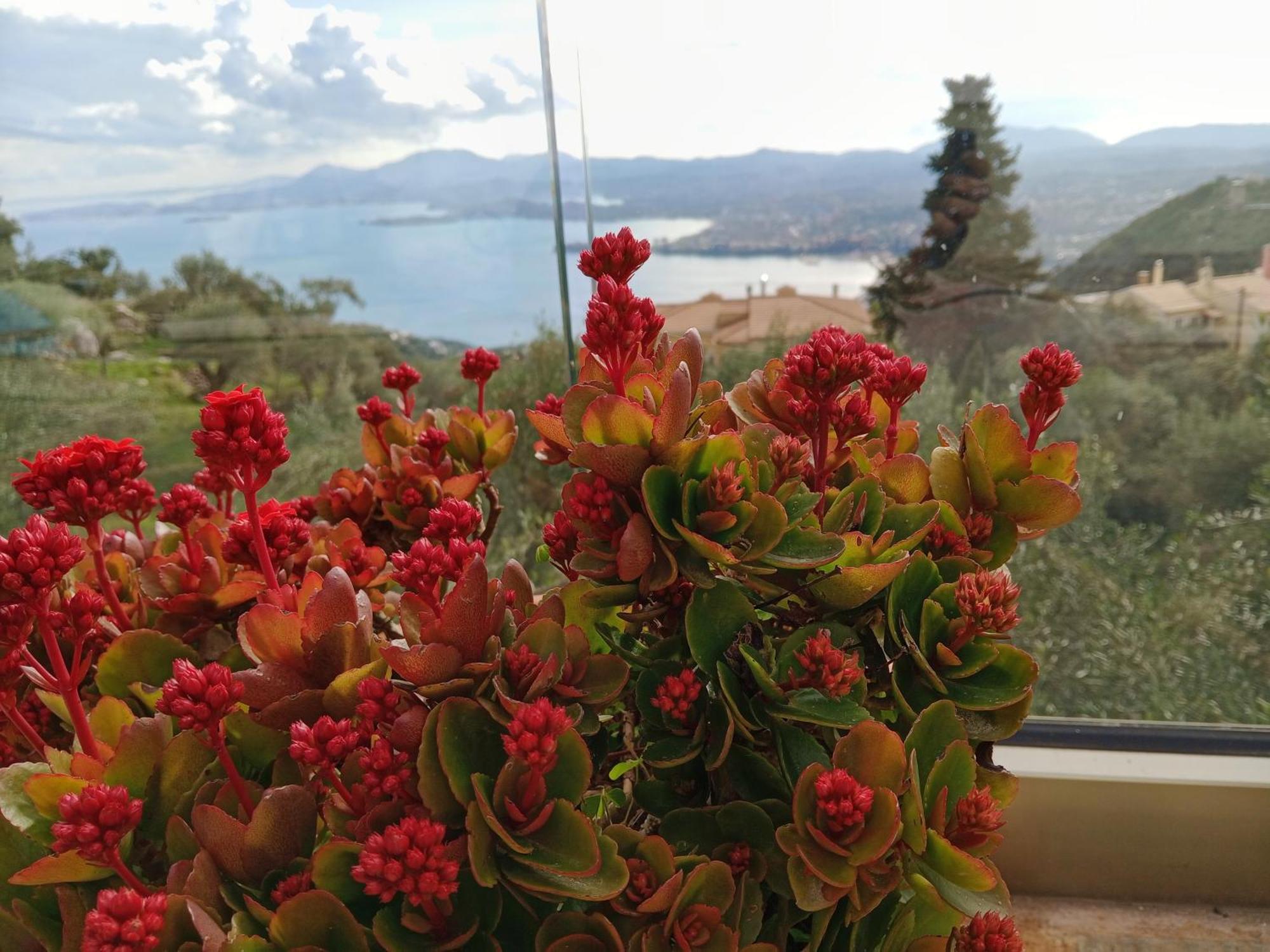 Rizaria Sea View House Villa Spartylas Eksteriør bilde